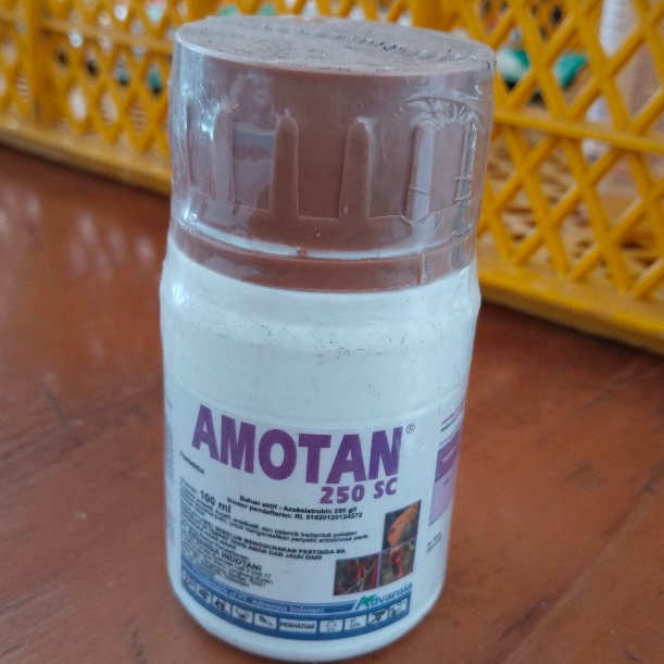 Amotan 100 ml