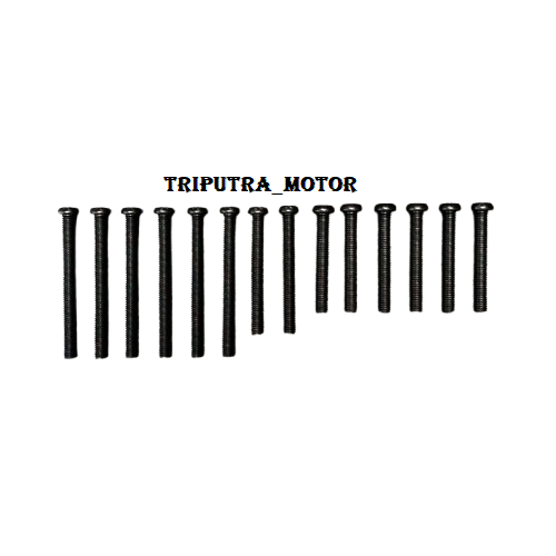 BAUT CRANKCASE RX KING 14 PCS/BAUT CRANKCASE MESIN BAGIAN DALAM RX KING 1 SET TEBAL