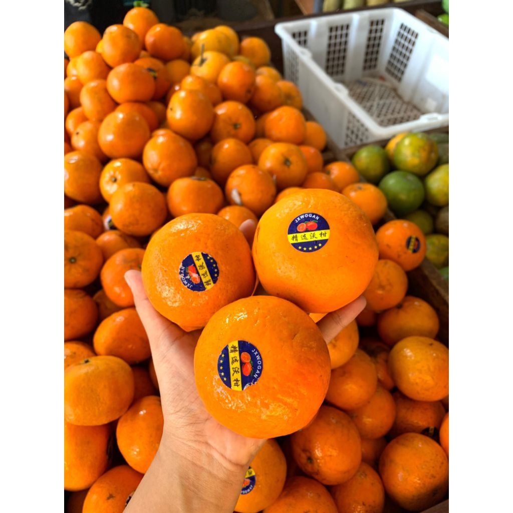 JERUK WOGAN 1KG | JERUK WOGAN | JERUK