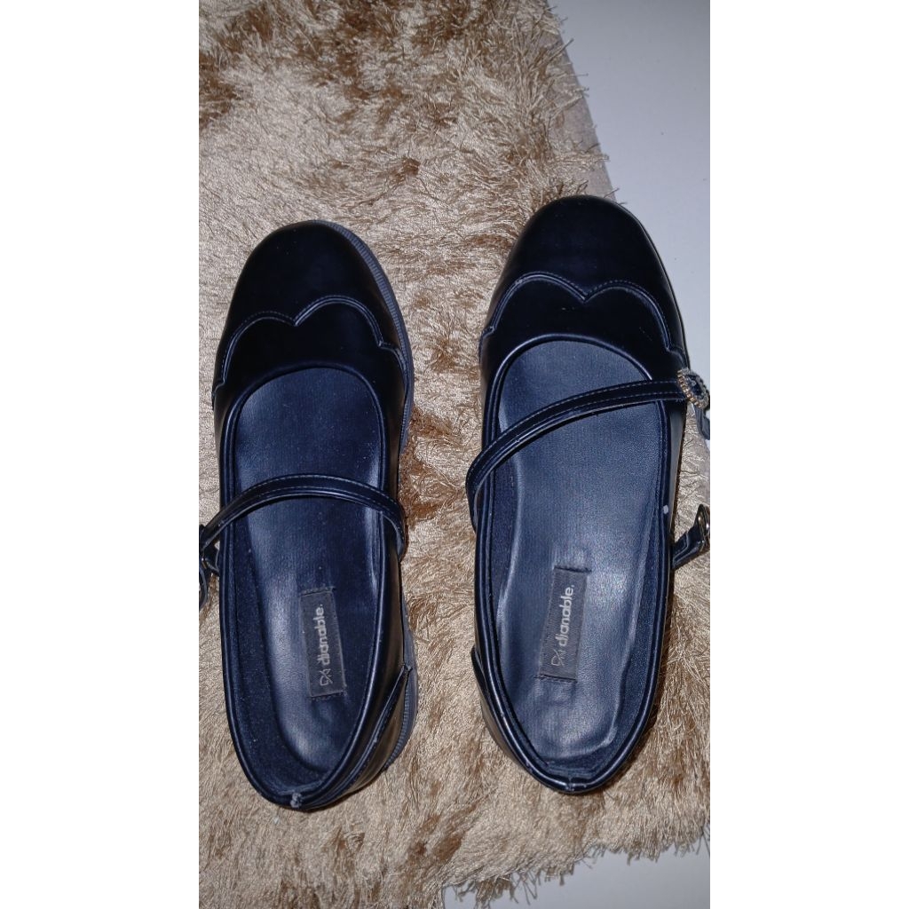 preloved dianable loafers
