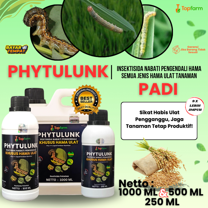 Obat Ulat Daun Padi Ampuh / Obat Ulat Penggulung / Insektisida Pengendali Hama Daun Padi Sawah / Oba