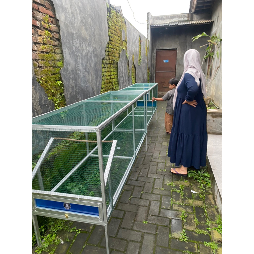 umbaran murai batu 6 meter sleding