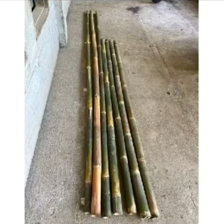 Bambu utuh untuk tiang bendera dan pagar siap pakai T: 150-300 cm