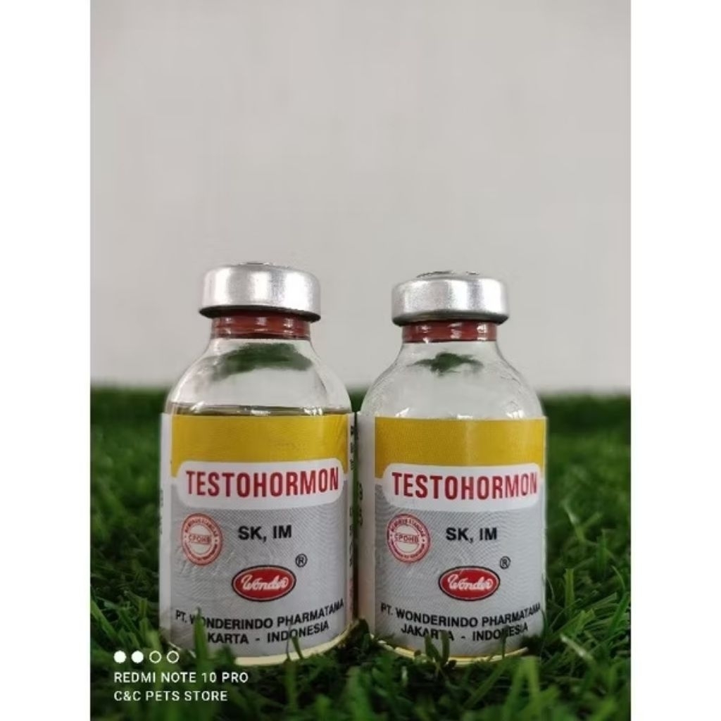 Testohormon Injeksi 20 ml penambah birahi untuk hewan peliharaan (jantan)