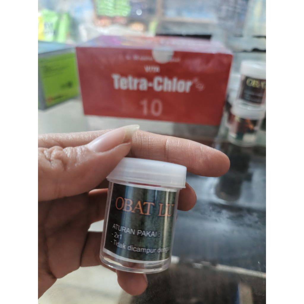 obat luka dalam ayam
