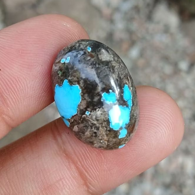pirus persi