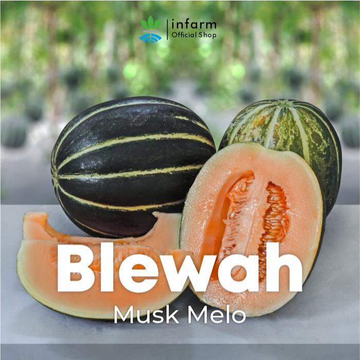INFARM - Benih Buah Blewah Muskmelo, Bibit Super Buah Blewah Benih Unggul Buah Blewah Manis Premium