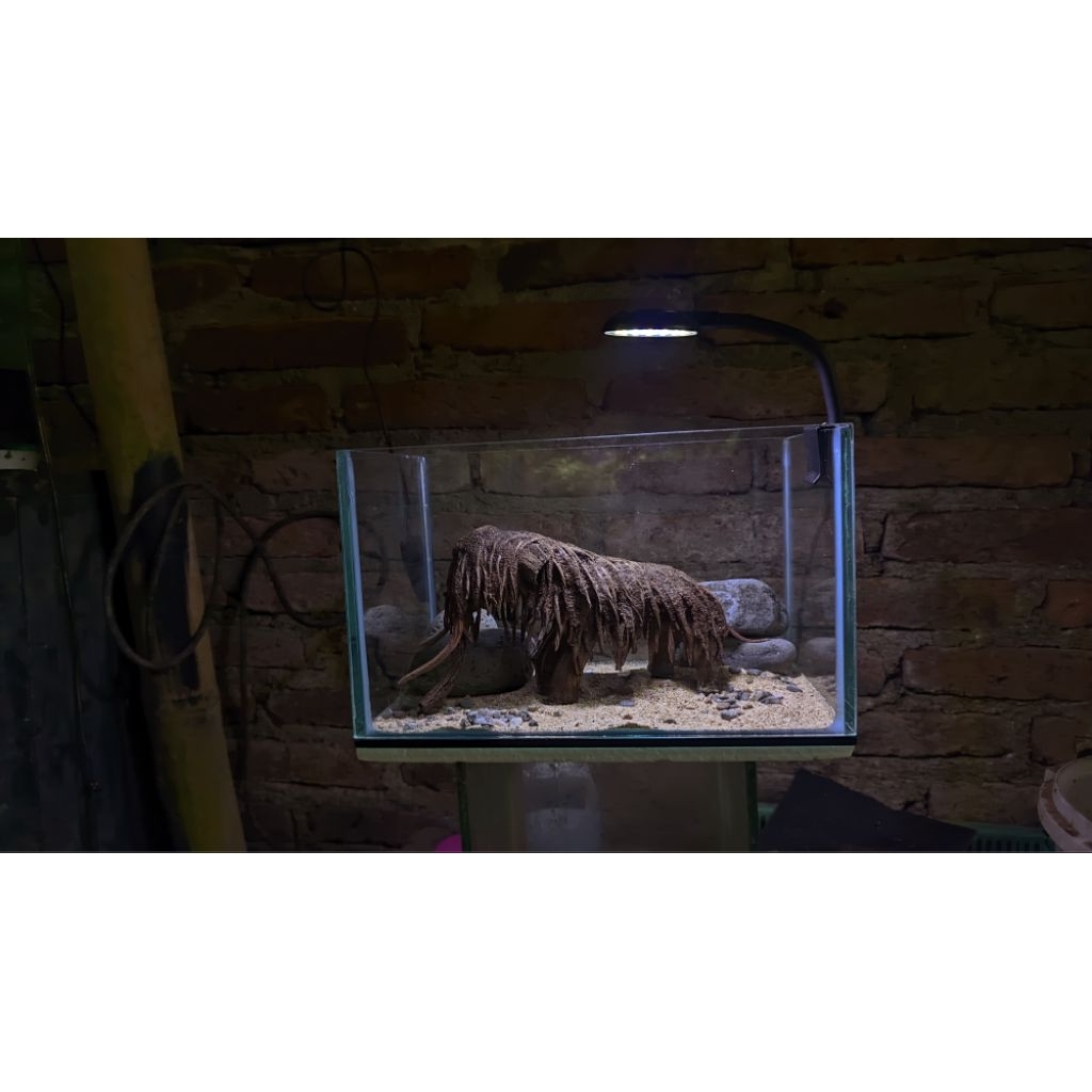 DIY miniatur gajah dekorasi aquarium HARDSCAPE AQUARIUM MURAH