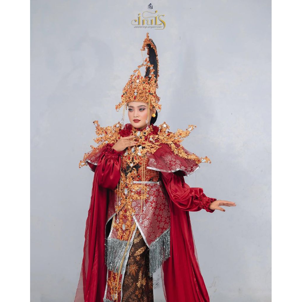 kostum maskot karnaval dewasa