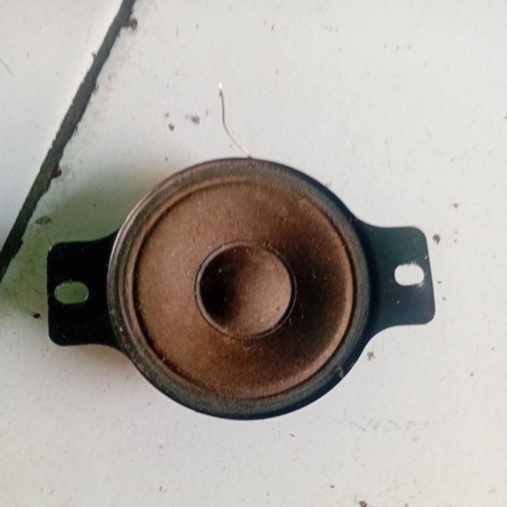 terter radio polytron