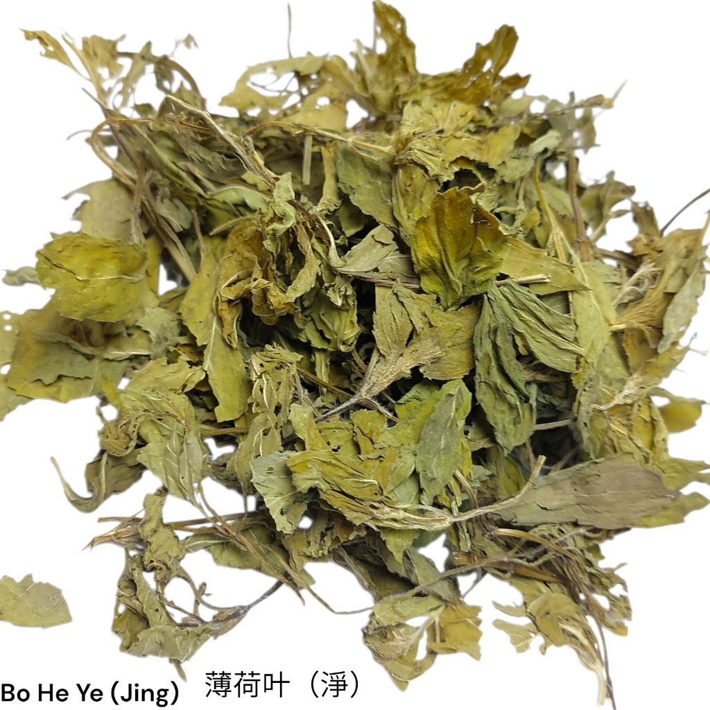 Grade A - Bo He Ye 500g 600g 1kg Herbal Daun Mint Kering Premium Menthol Dried Peppermint Leaf