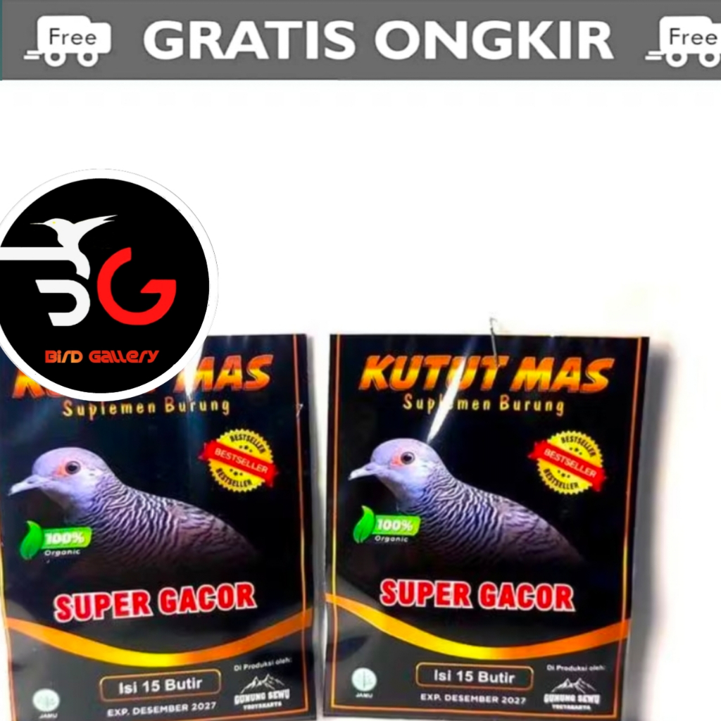 PIL KUTUT MAS PIL BURUNG PERKUTUT MANGGUNG