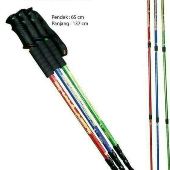 Eiger Oficial - Trekking Pole Tongkat
