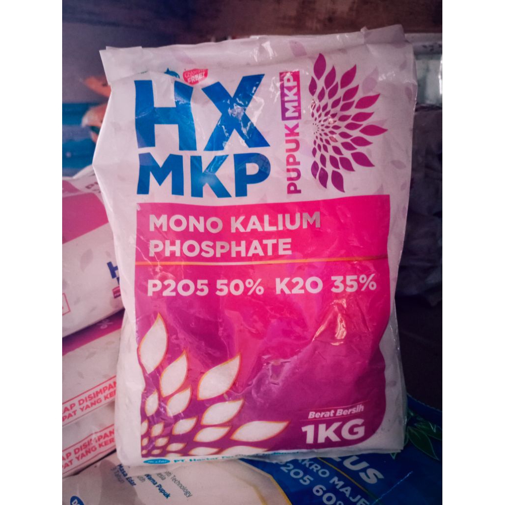 Pupuk HX MKP DGW 1 kg