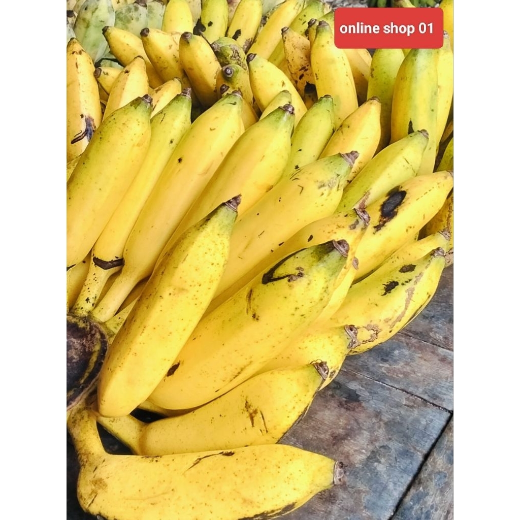 pisang uli 3 kg mentah,matang langsung dari kebun.