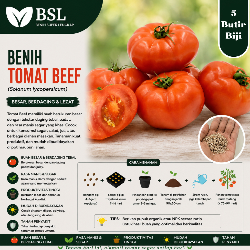 ( 5 Butir ) Benih Biji Tomat Beef | Tomat Beefsteak | Beefsteak Tomato | UKI BIBIT