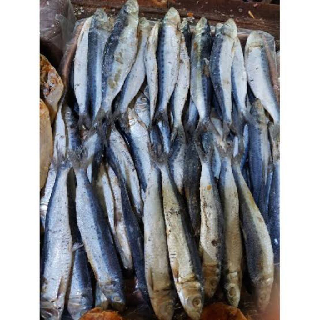 ikan asin tamban 500g/ tamban ikan asin 500g/ ikan tamban asin 500g