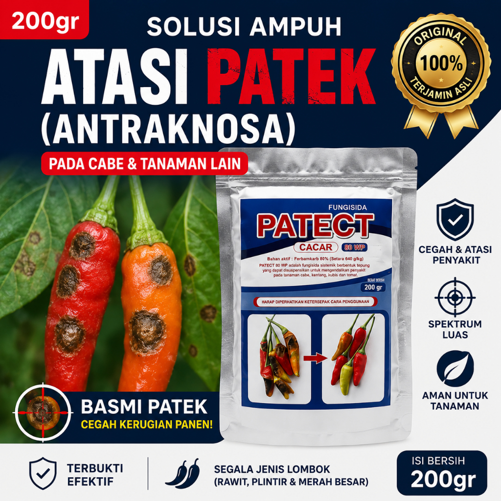 PATECT 200gr Obat Patek Cabai Antraknosa Cabe Rawit Cabe Merah Fungisida Cacar Cabai Busuk Buah Berc