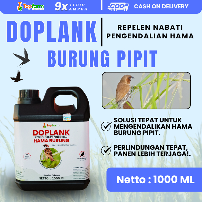 Obat Racun Bibit Di Padi / Pestisida Pembasmi Burung Pipit / Pestisida Untuk Burung Pipit / Obat Pen