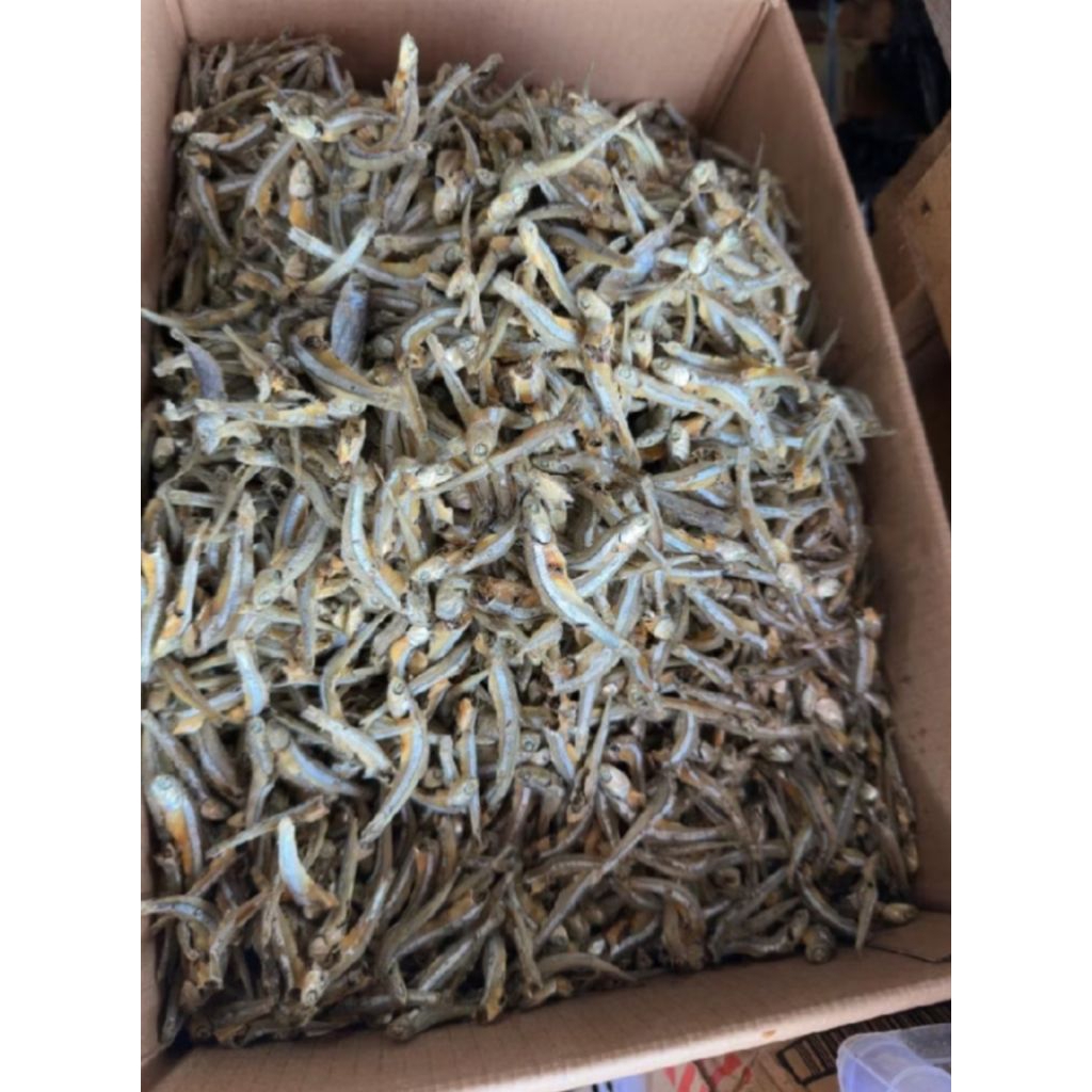 Ikan teri khas kalimantan barat/ ikan teri khas pontianak
