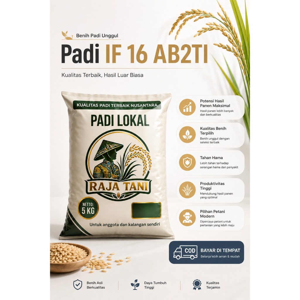 Benih Bibit Padi IF 16 AB2TI Kualitas Super Unggul Kemasan 5kg Original Produk RAJA TANI
