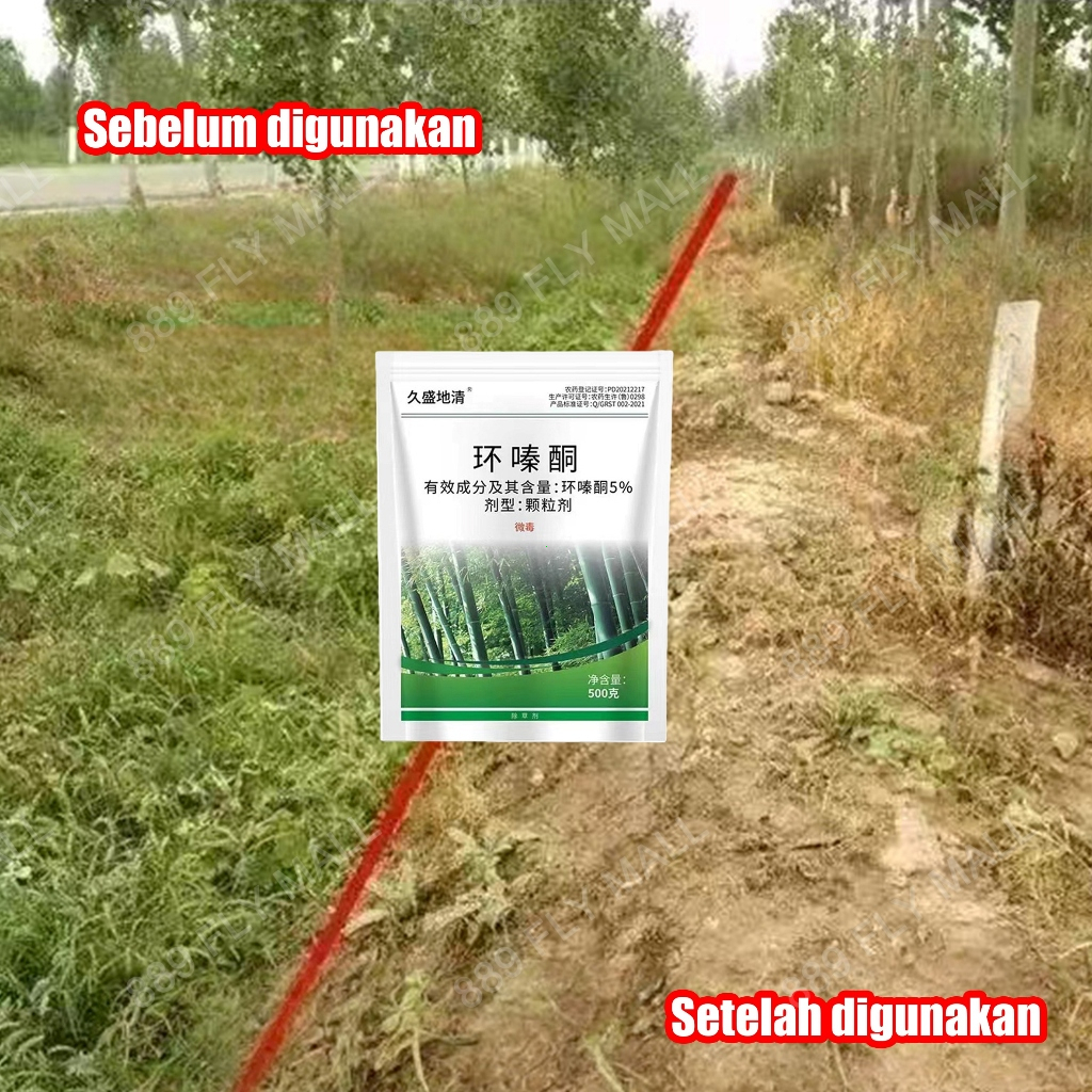racun rumput paling ampuh herbisida pembasmi rumput liar obat rumput racun pohon besar ampuh racun b