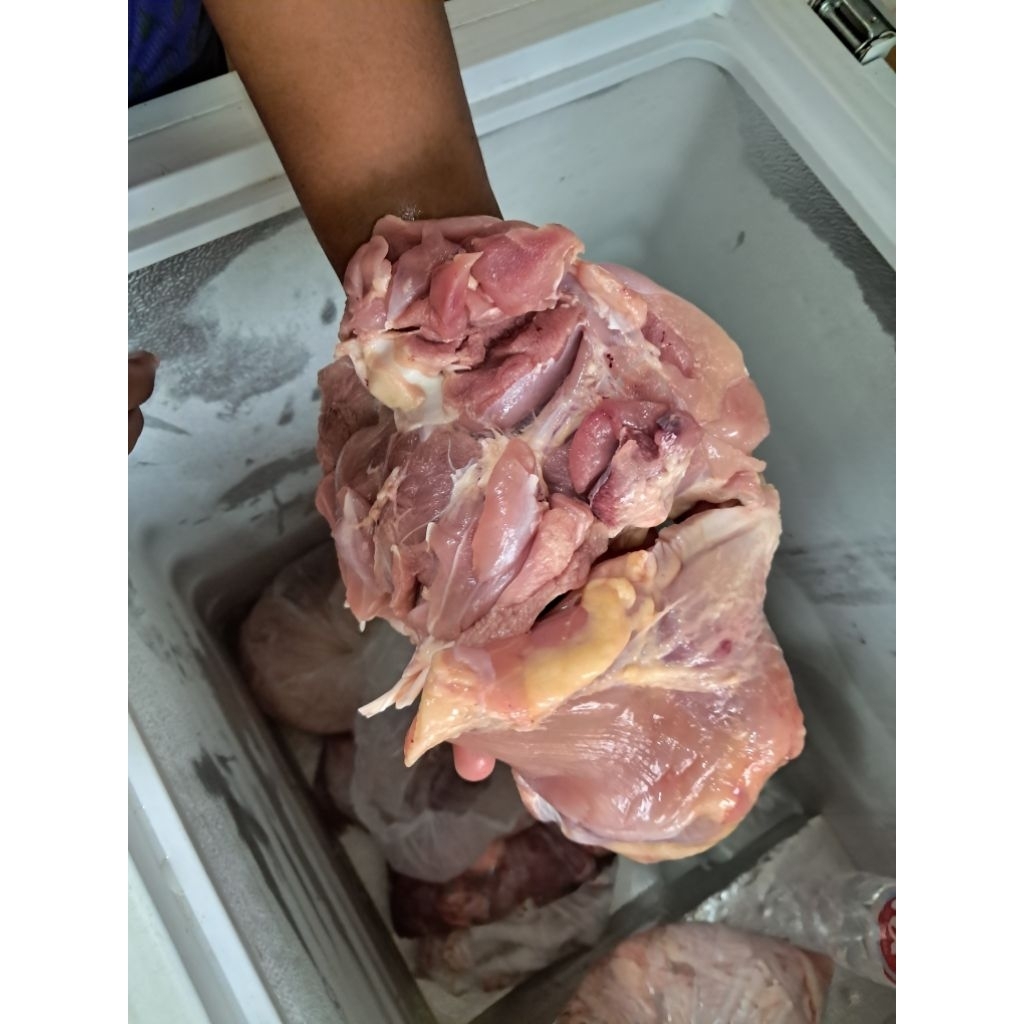 fillet paha / blp ayam potong fresh