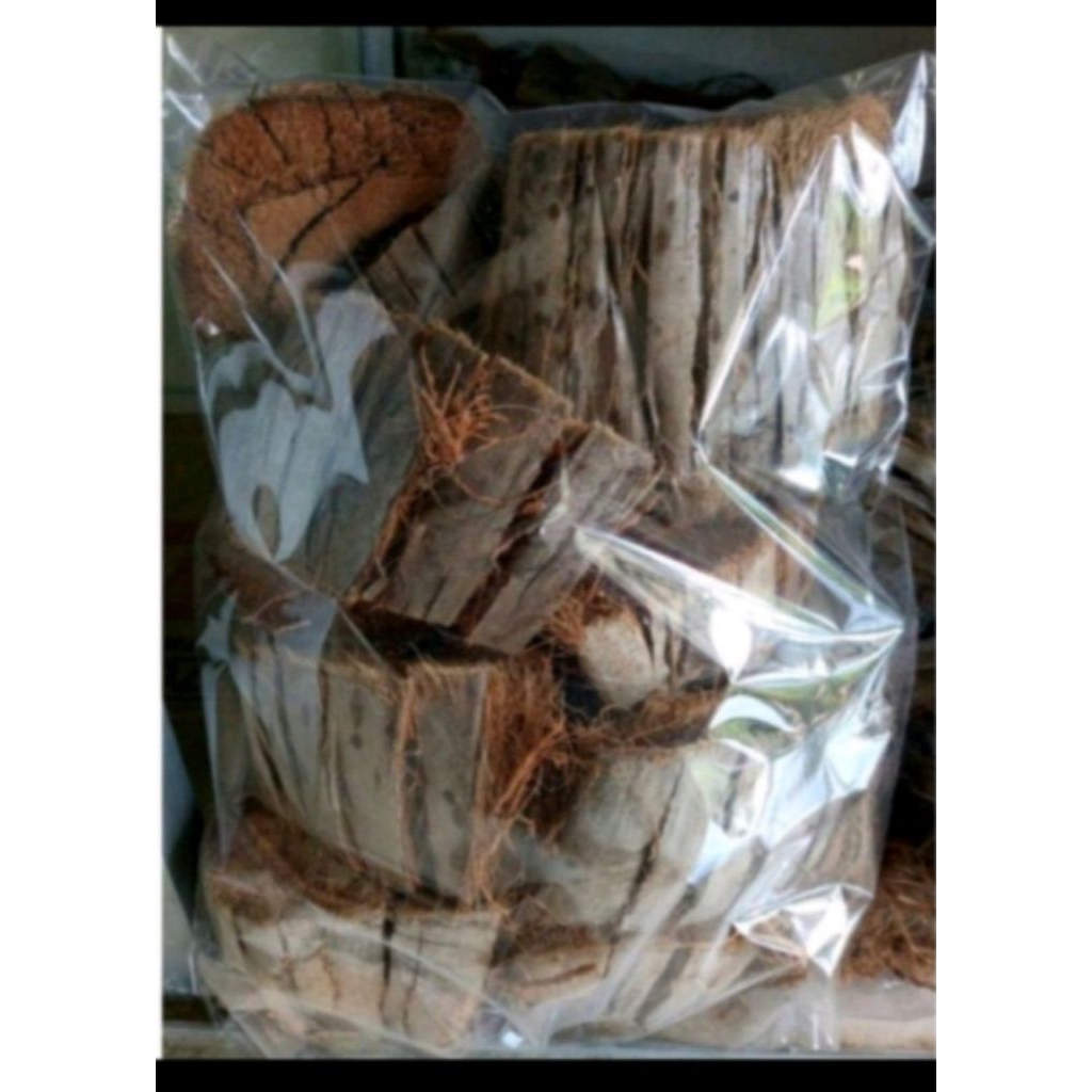 sabut kelapa media tanam anggrek sabut kelapa utuh 1kg