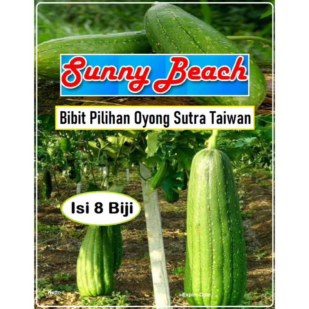Bibit Pilihan Oyong Sutra Taiwan | Biji Benih Oyong Sutra Taiwan