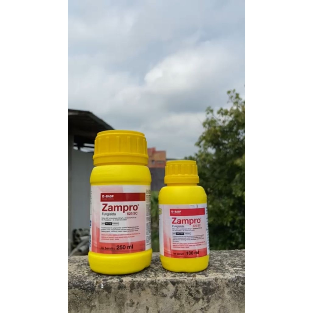 Zampro 525 SC 250ML_Fungisida