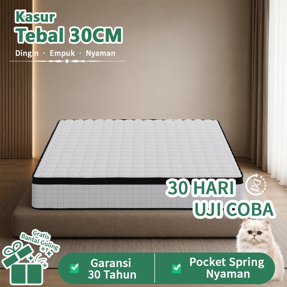 COD Kasur Springbed Mattress in a Box 35cm Pegas Pocket Premium Matras Spring Bed Garansi 30 Tahun G