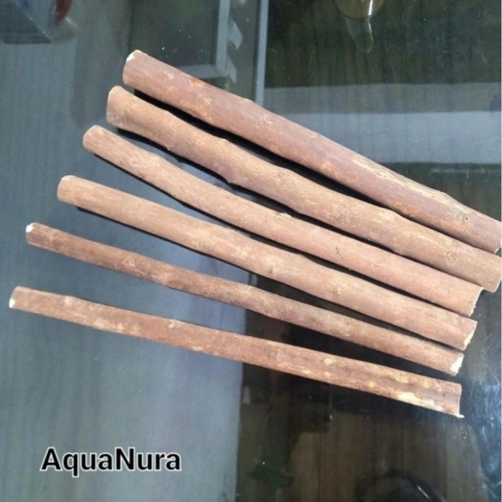 paket 6batang kayu rasamala lurus diameter randome aquascape aquarium