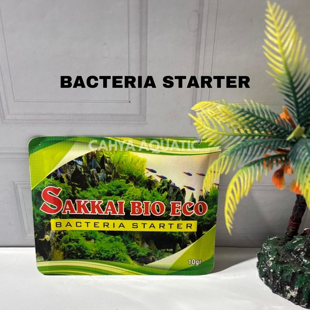 Sakkai Bacteria Starter