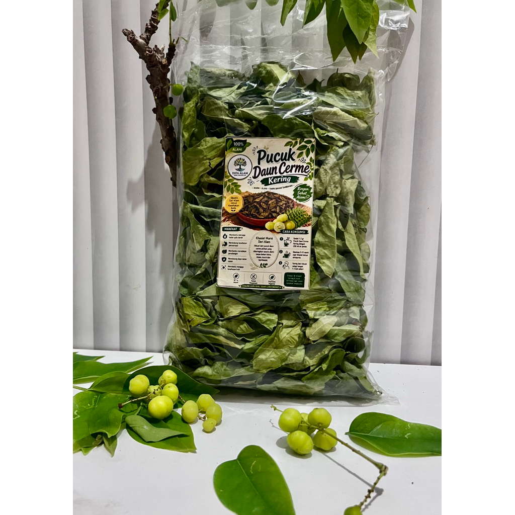 Daun cerme kering 100 grm beli 500 grm gratis 100 grm
