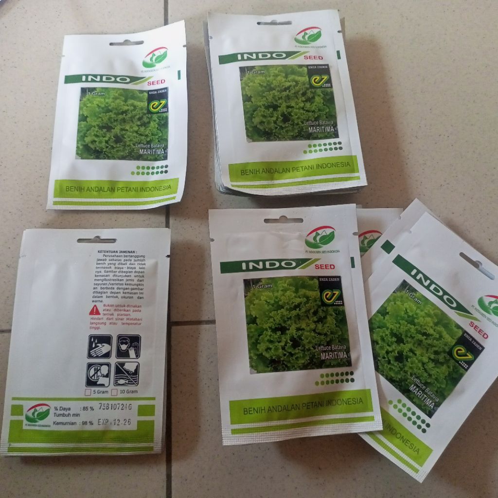 bibit/benih,selada,Maritima original,1gram