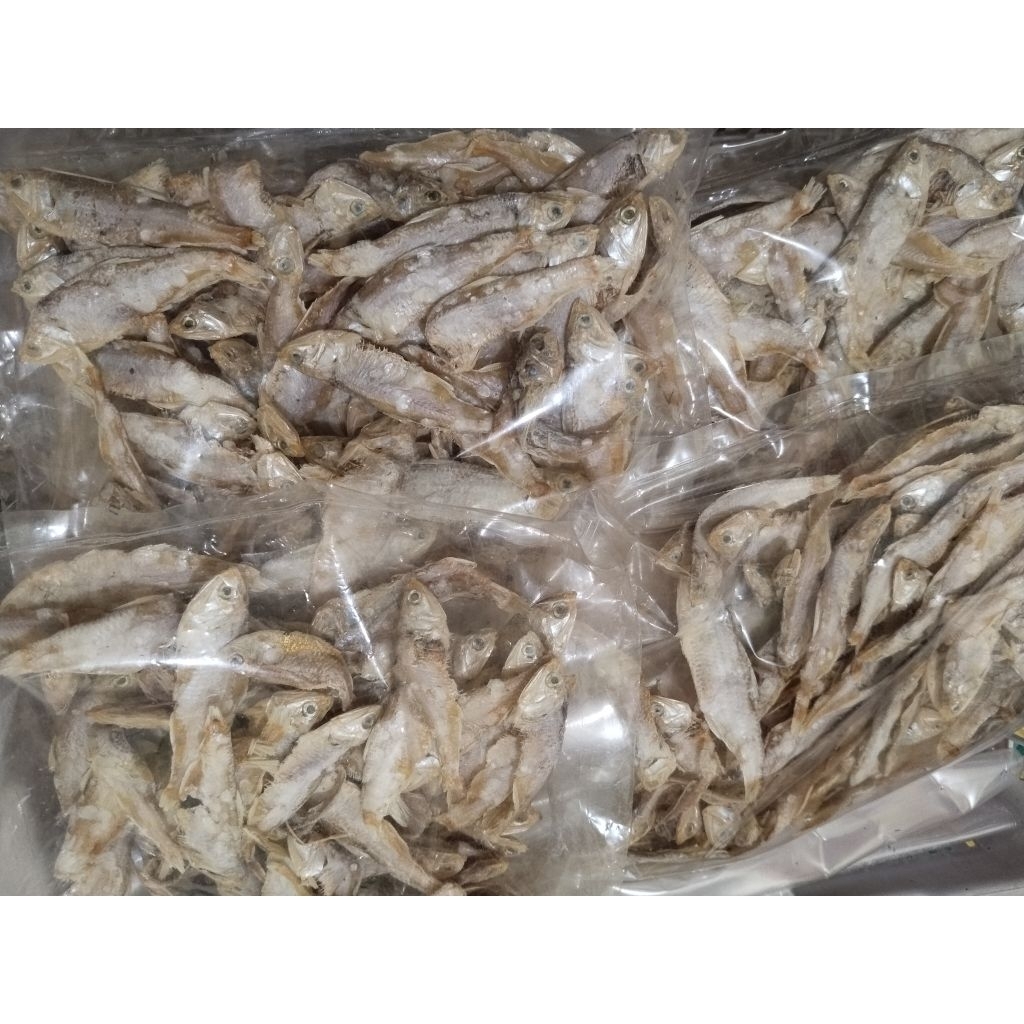 Ikan Asin kroposan/wader laut 5 ribuan