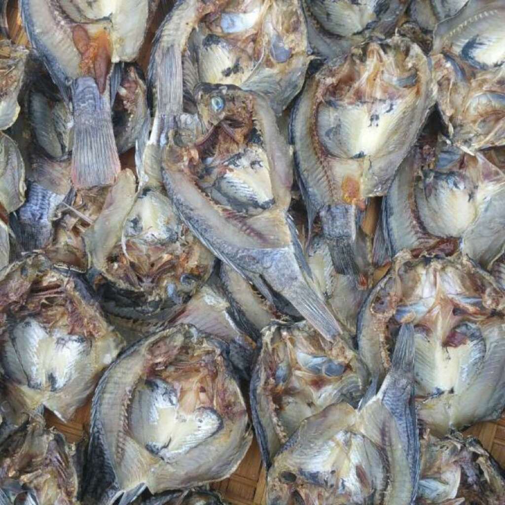 IKAN ASIN MUJAIR FRESH