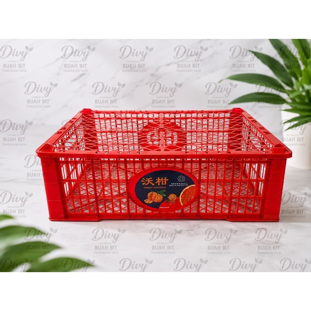 Keranjang Plastik Bekas Jeruk 41x28x14 cm