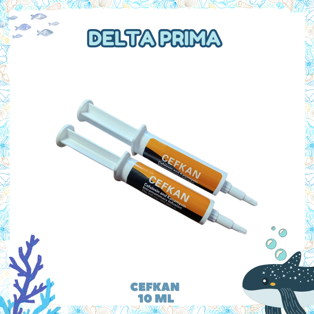 CEFKAN 10 ML - Pengobatan Mastitis Klinis Pada Sapi Perah Menyusui