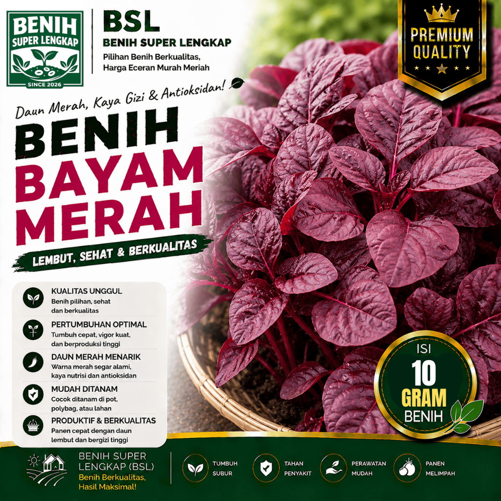 ( 10 Gram ) Benih Biji Bayam Merah | Bayam Cina | Red Amaranth | UKI BIBIT