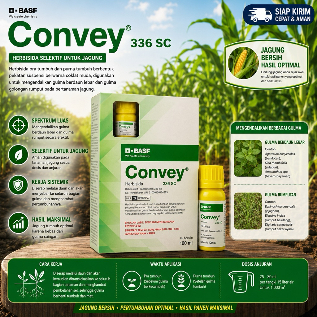 Convey Herbisida Selektif Jagung | Pengendali Gulma Jagung