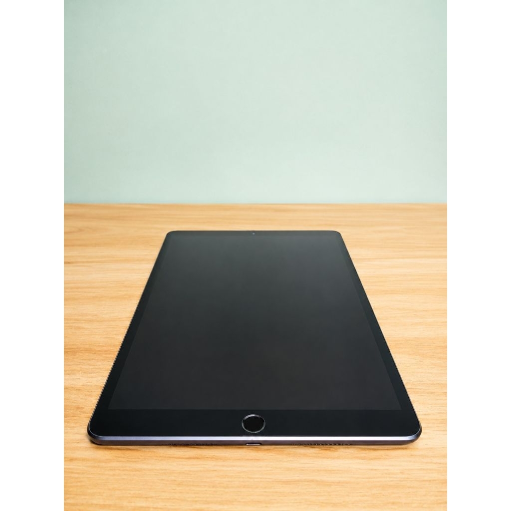 IPAD MINI 5 256 GB MANTAP