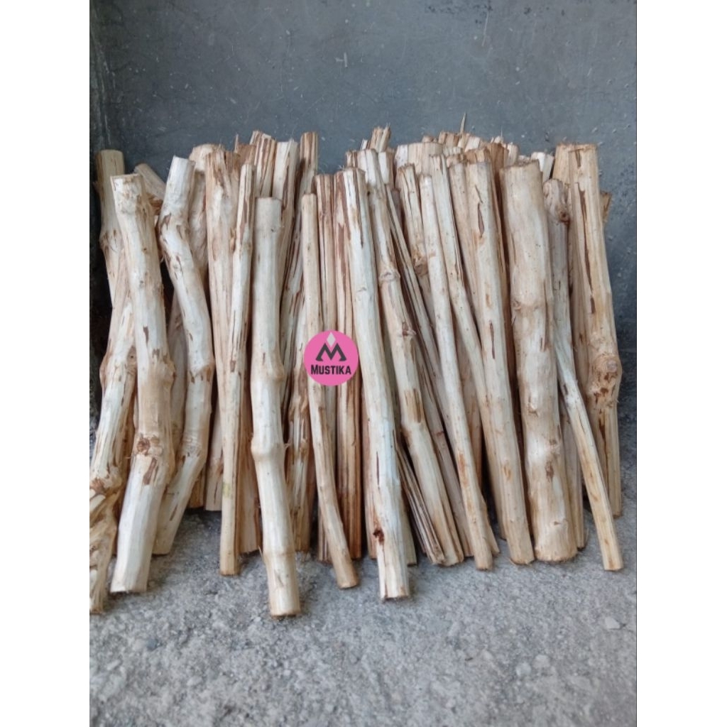 batang senggani / kayu senggani kupas