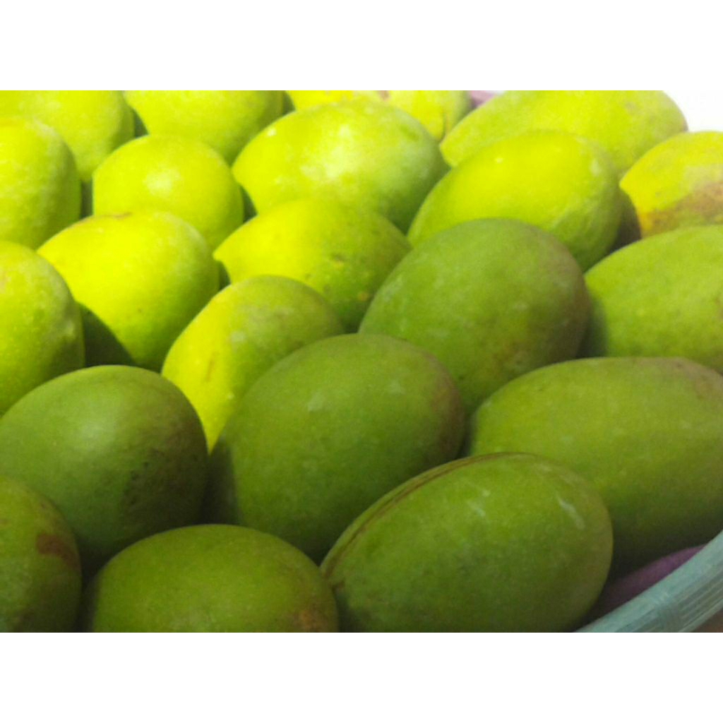Mangga Kweni