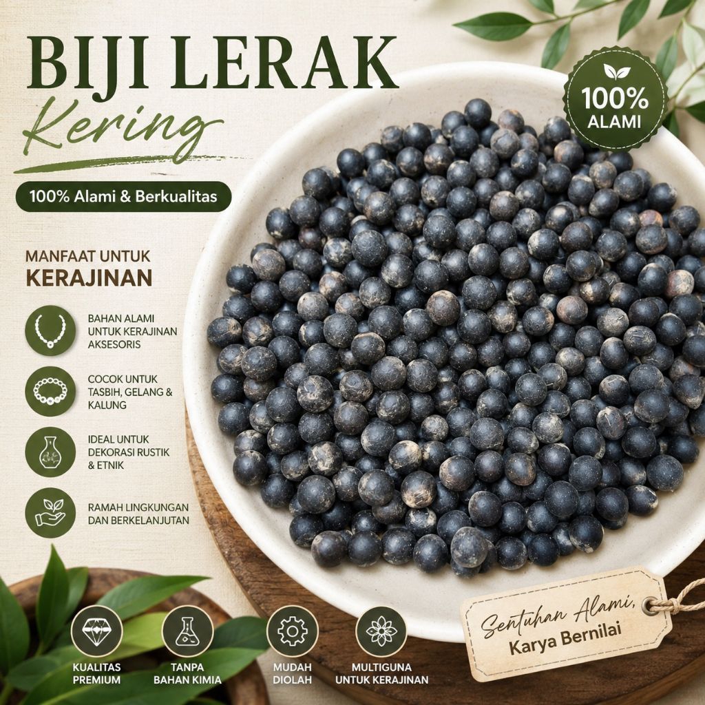 Biji lerak 1kg - biji lerak ecer - benih lerak - isi buah lerak -
