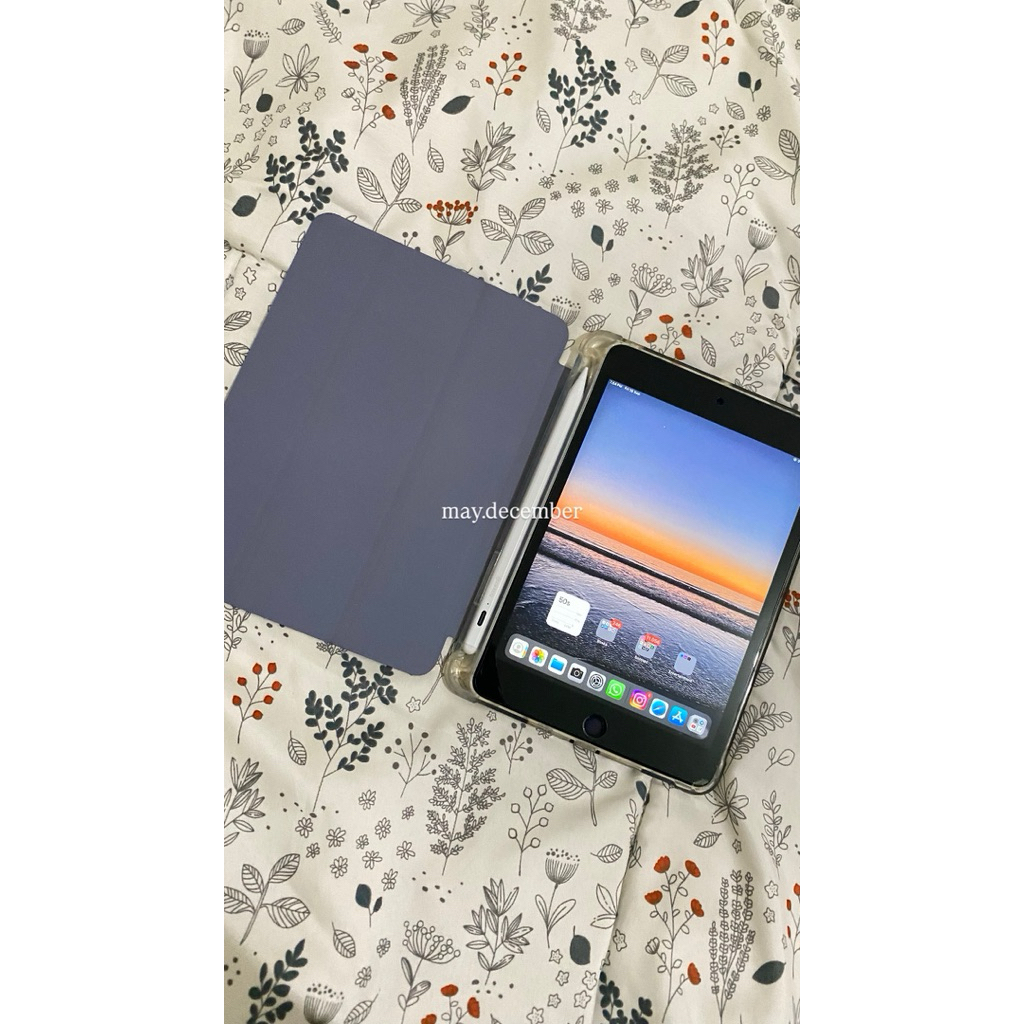 Ipad Mini 5 Silver 64GB Preloved