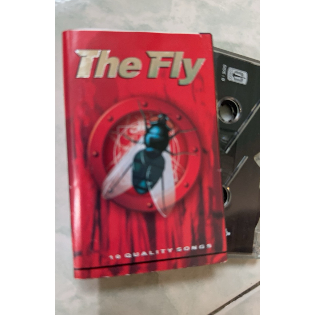 the fly