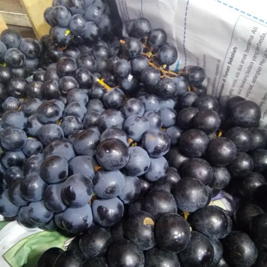 Anggur Muskat Bali Fresh Asem Manis 1Kg