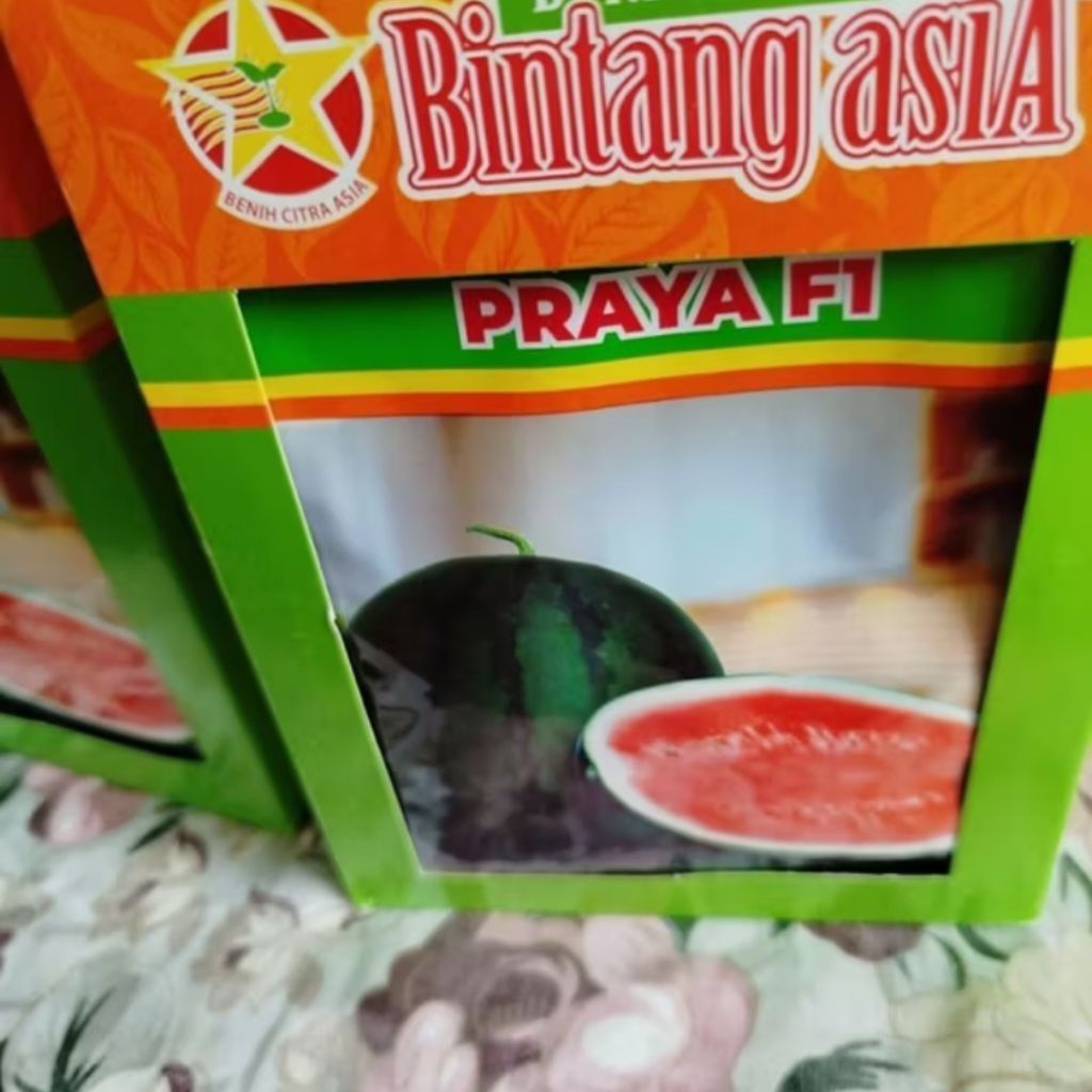 Benih Semangka Praya F1 – Bintang Asia | Benih Unggul