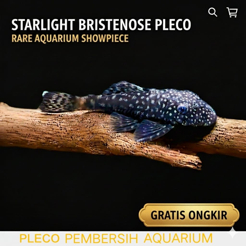 Aksesoris aquarium pleco hias sintetis Dekorasi aquascape size 4cm-6cm Brushmout pleco sintetis
